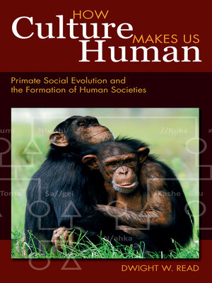 cover image of How Culture Makes Us Human